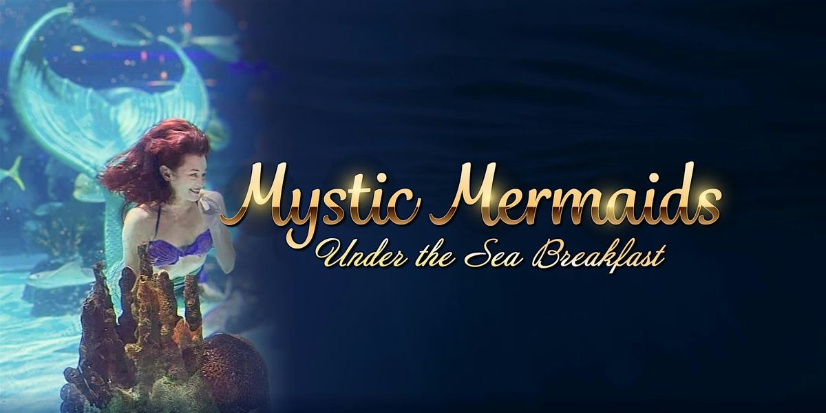 Aquarium Nashville - Mystic Mermaids Under the Sea Breakfast