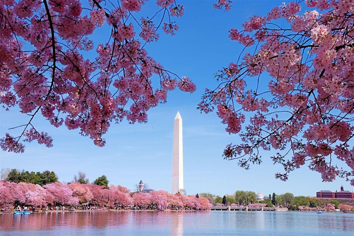 DC walking tour for IAC conference: White House, National Mall, Monument