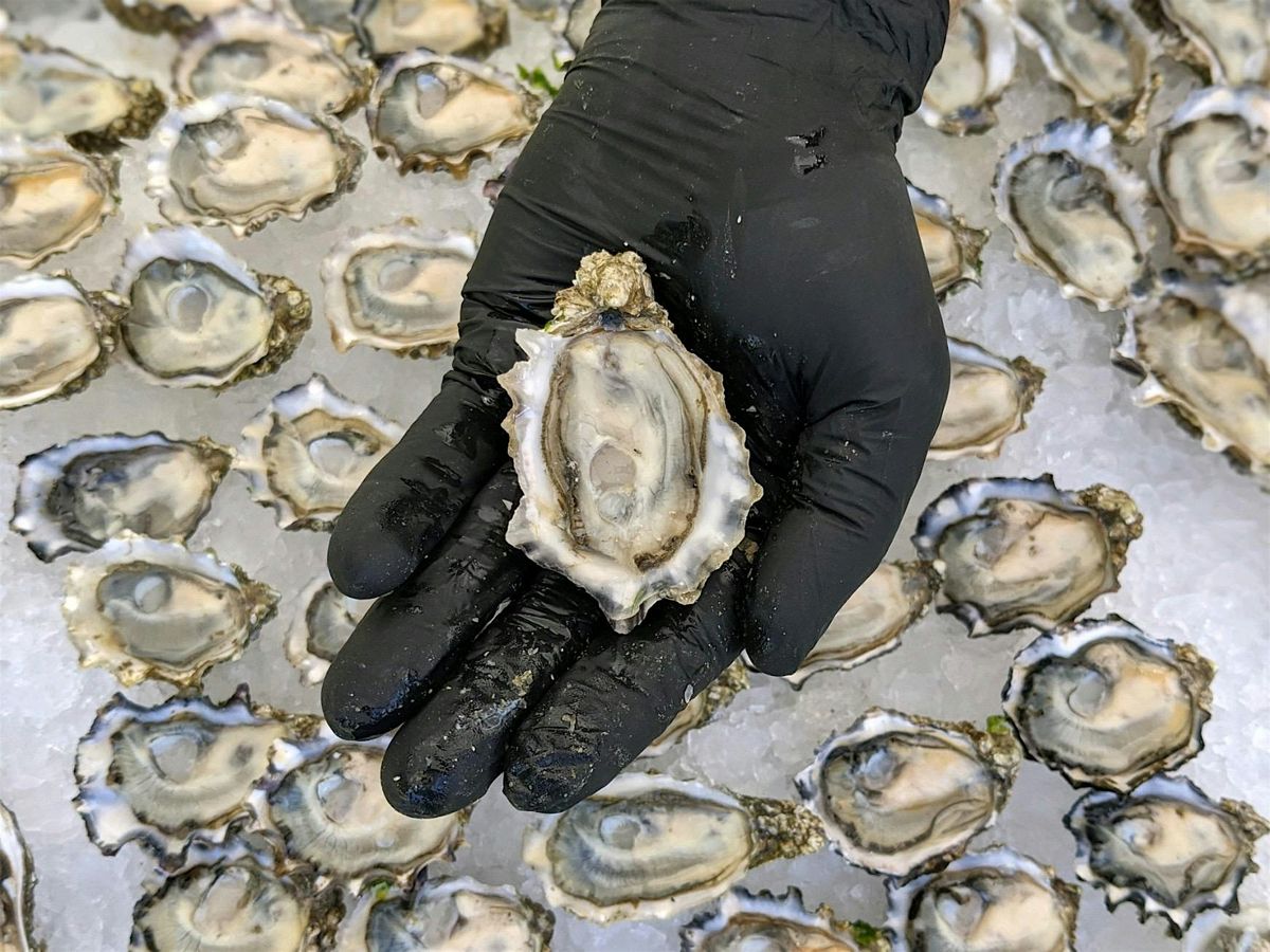 Oysterology 301: Mastering the Oyster Experience, from Shucking to Savoring