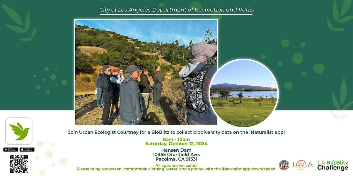 LA BioBlitz 10.12.24