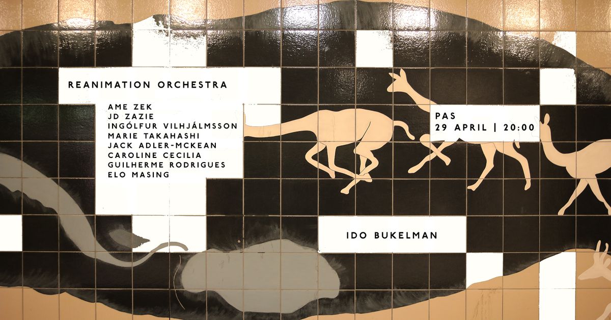 Ido Bukelman \/ Reanimation Orchestra at PAS