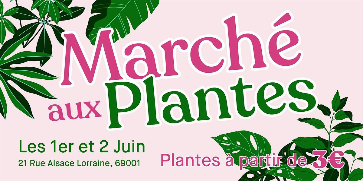 March\u00e9 aux Plantes