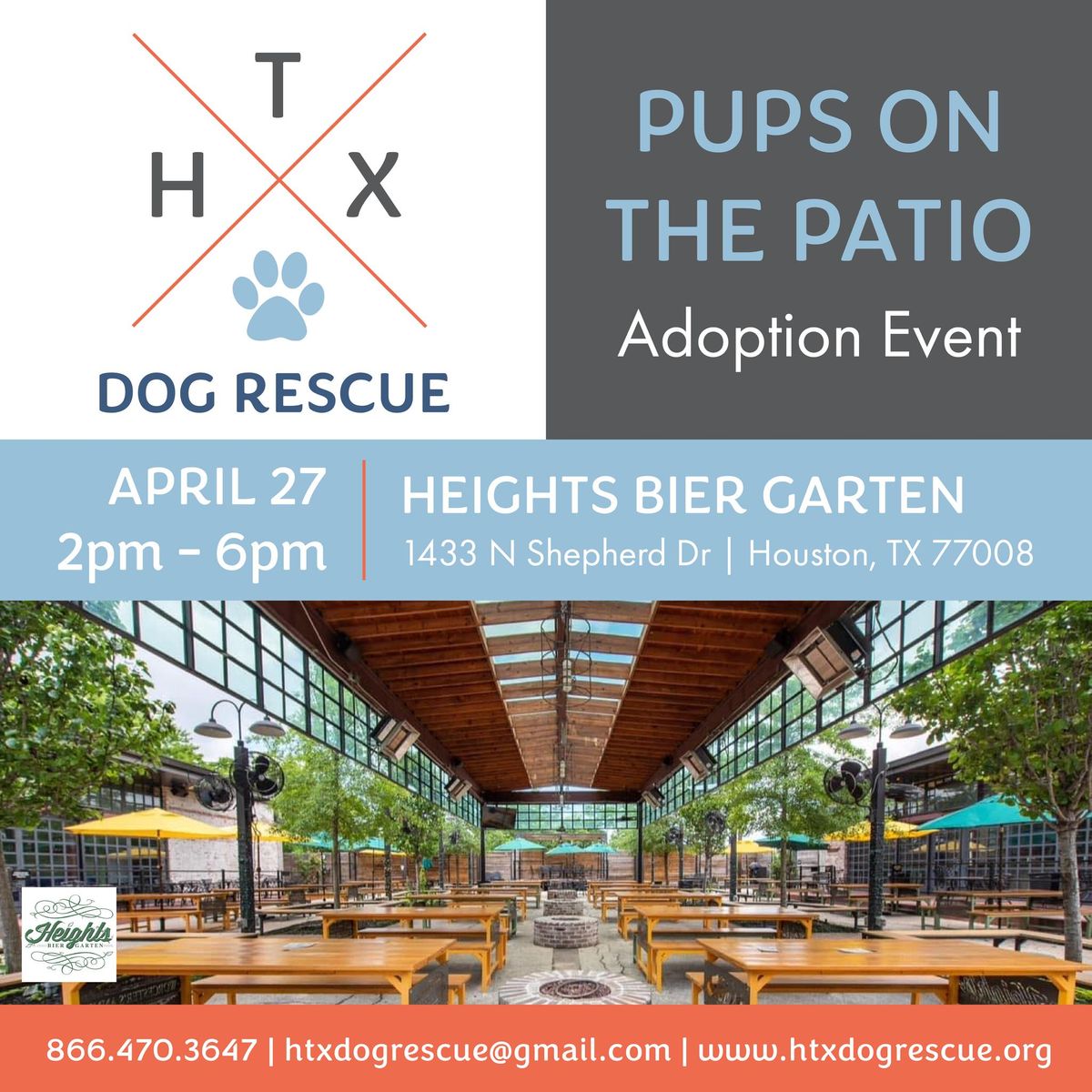 Pups on the Patio Adoption Event