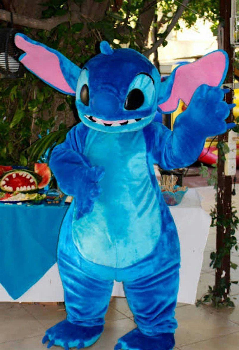 Stitch meet and greet