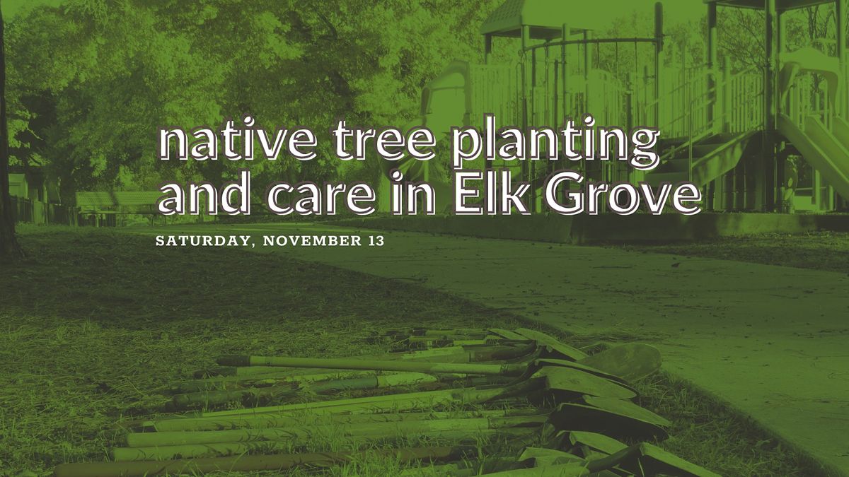 Native Tree Planting and Care in Elk Grove, Jordan Family Park, Elk ...