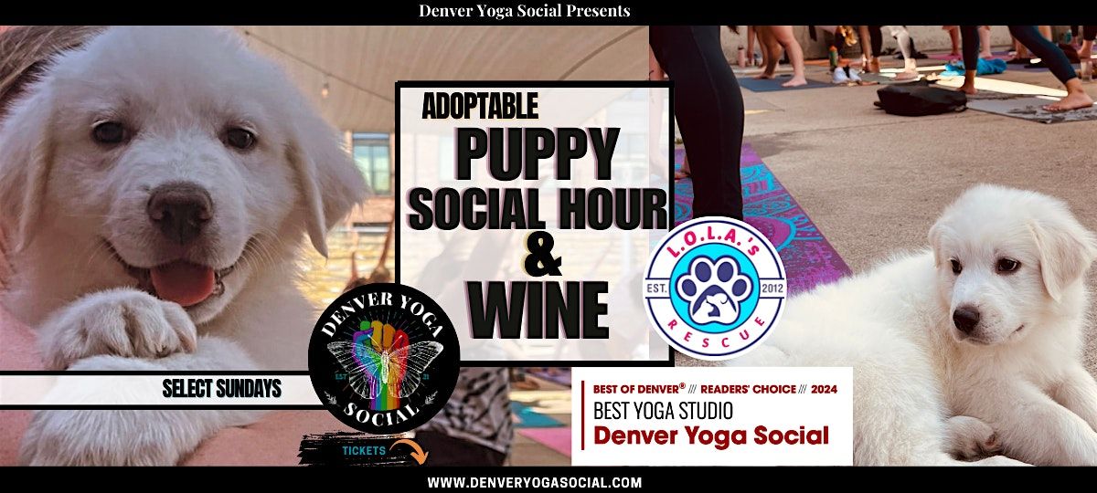 Adoptable Puppy Social Hour & Wine (NO YOGA)