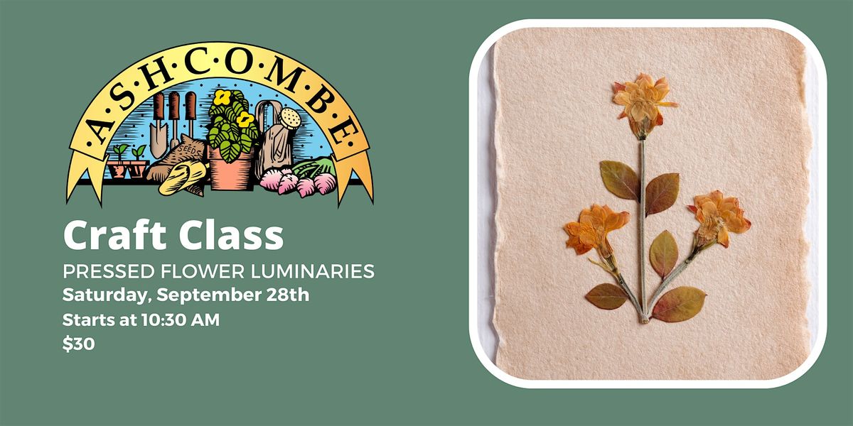 Pressed Flower Luminaries