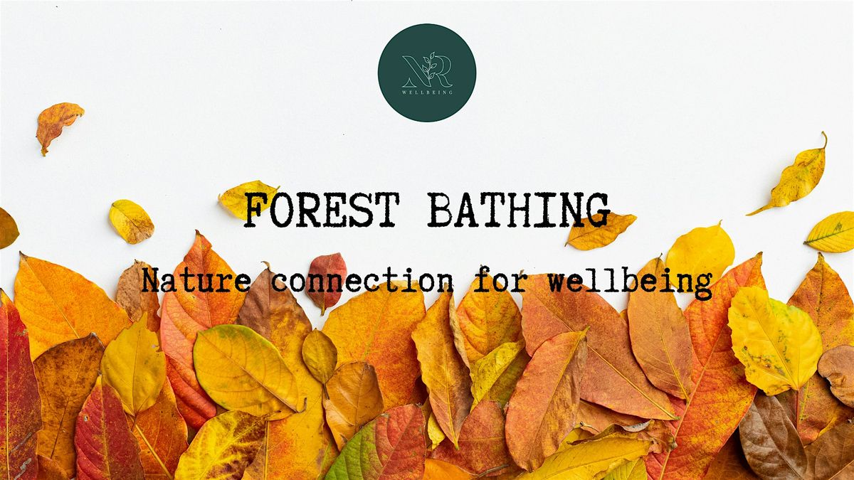 Forest Bathing (Salford Walking Festival)