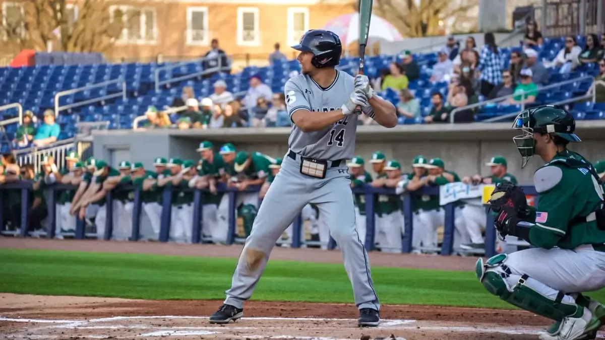 Campbell Fighting Camels at Charlotte 49ers Baseball