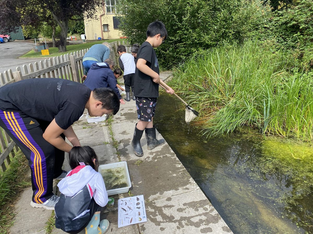 Let's Go Wild at Welsh Harp - Pond Dipping \/ Bug Hunt