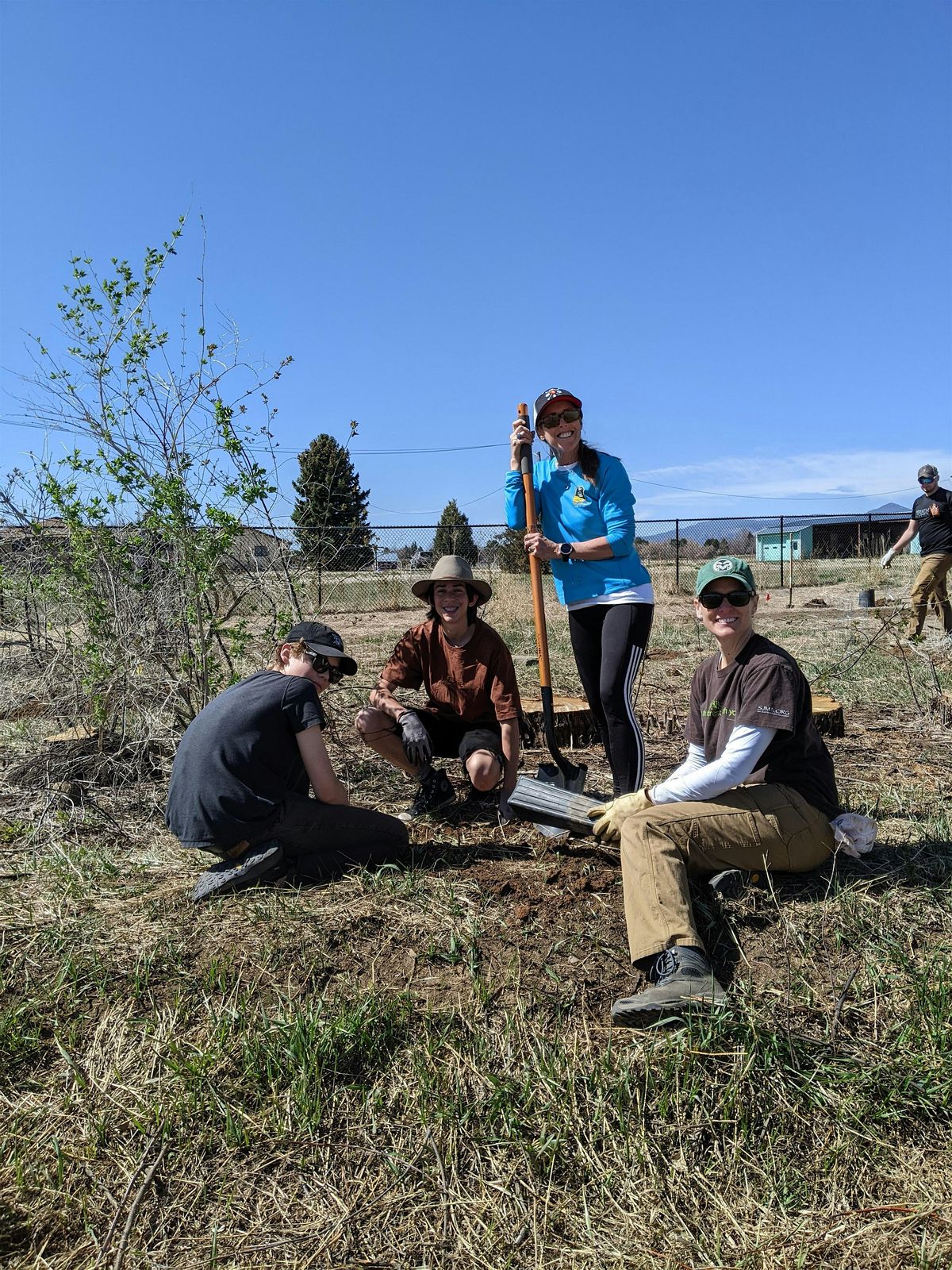 Native Shrub Planting