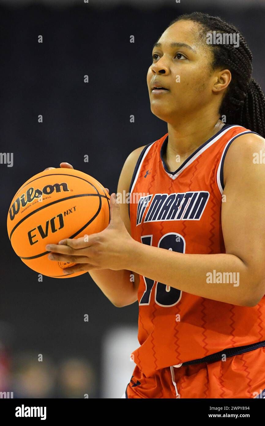 UT Martin Skyhawks vs. Southern Indiana Screaming Eagles