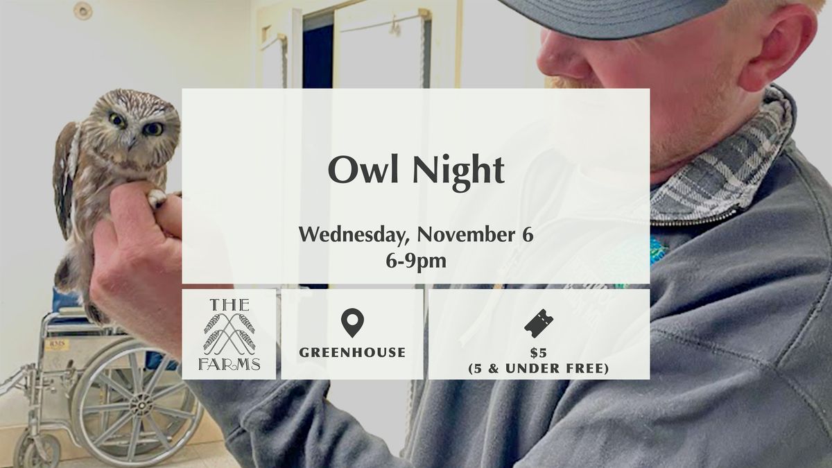 Owl Night