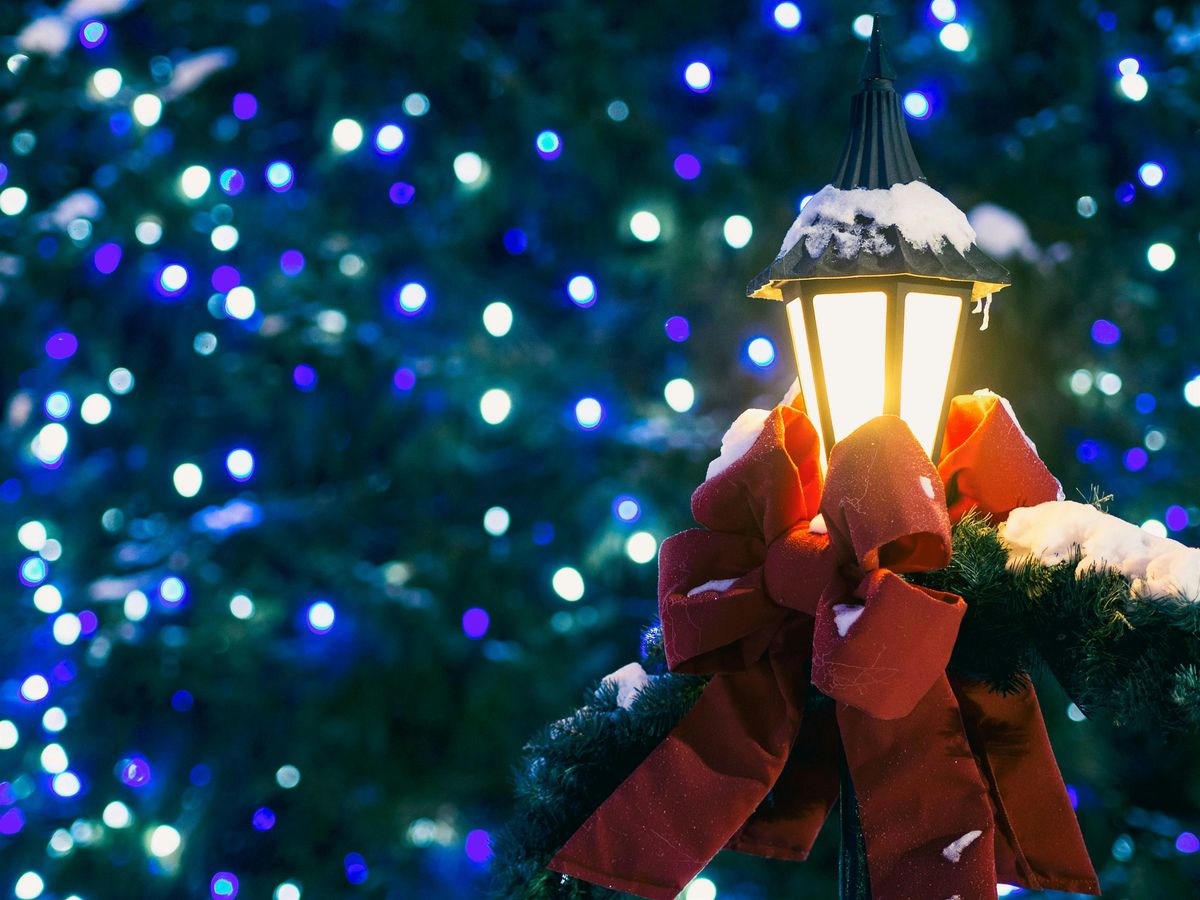 PDA Singles Christmas Light Stroll