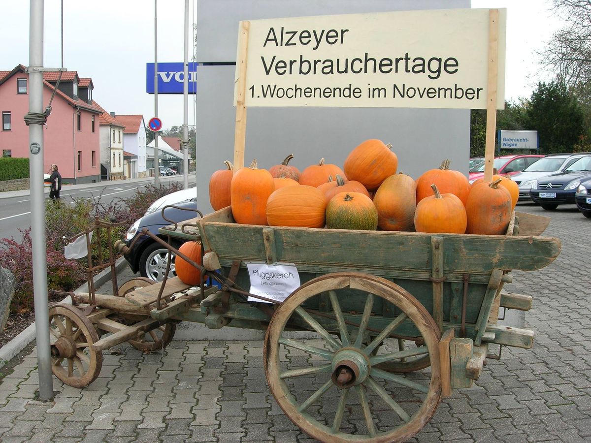 32. Alzeyer Verbrauchertage 