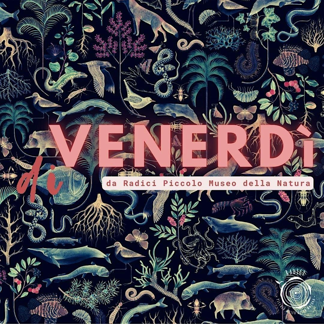 di VENERD\u00cc - musica letteratura laboratori per adulti