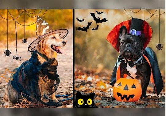 Howl-O-Ween Pooch Picnic: Unleash Fun & Furry Friendships!