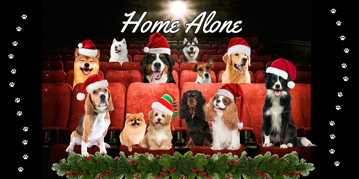 CHRISTMAS DOGGY CINEMA SCREENING