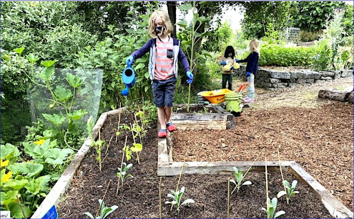 Food Forest Explorers Summer Day Camp