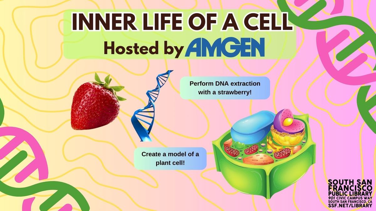 Inner Life of a Cell 