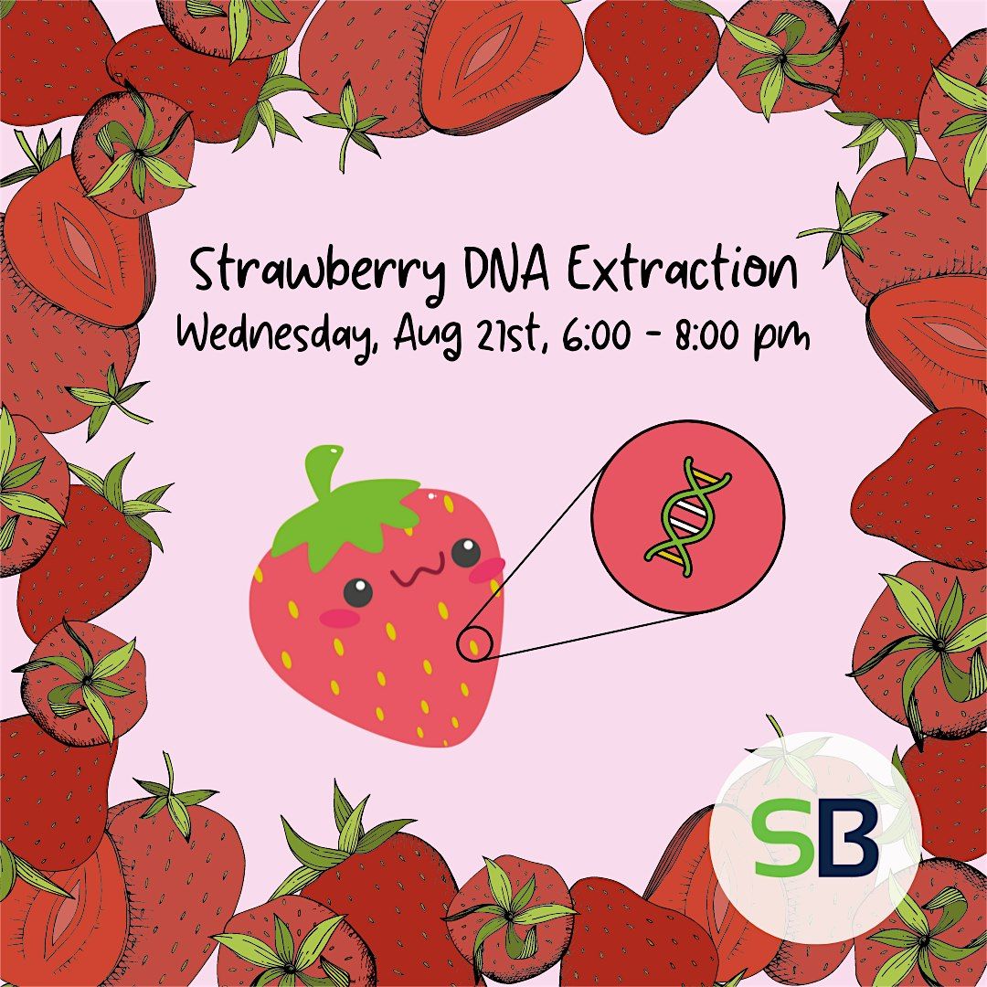 Strawberry DNA Extraction