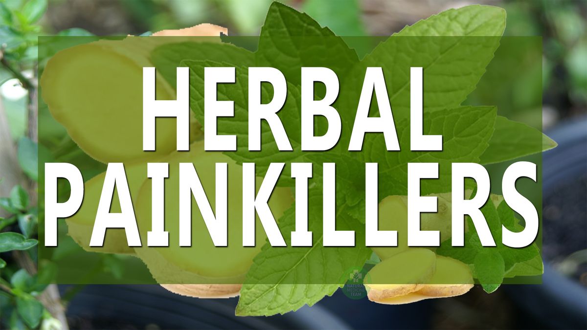 Pain killers, the herbal way