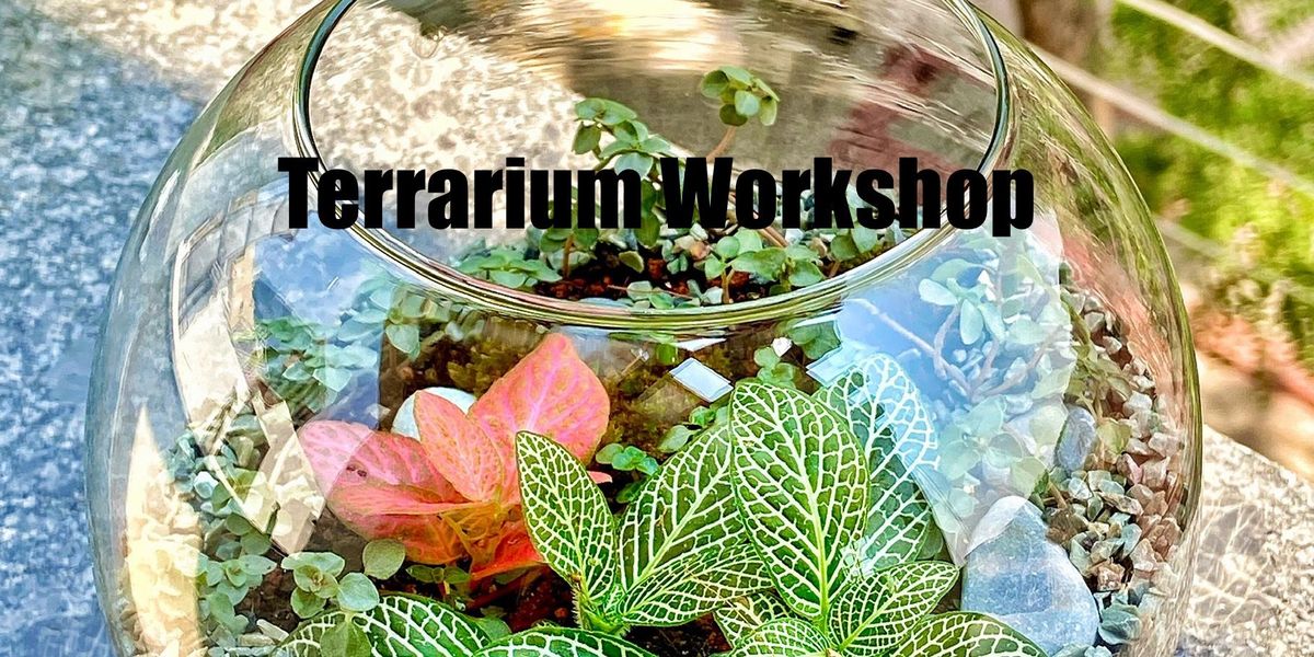 Design your own Closed Terrarium.