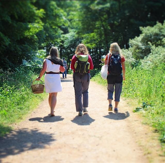 Summer Walking Lunch