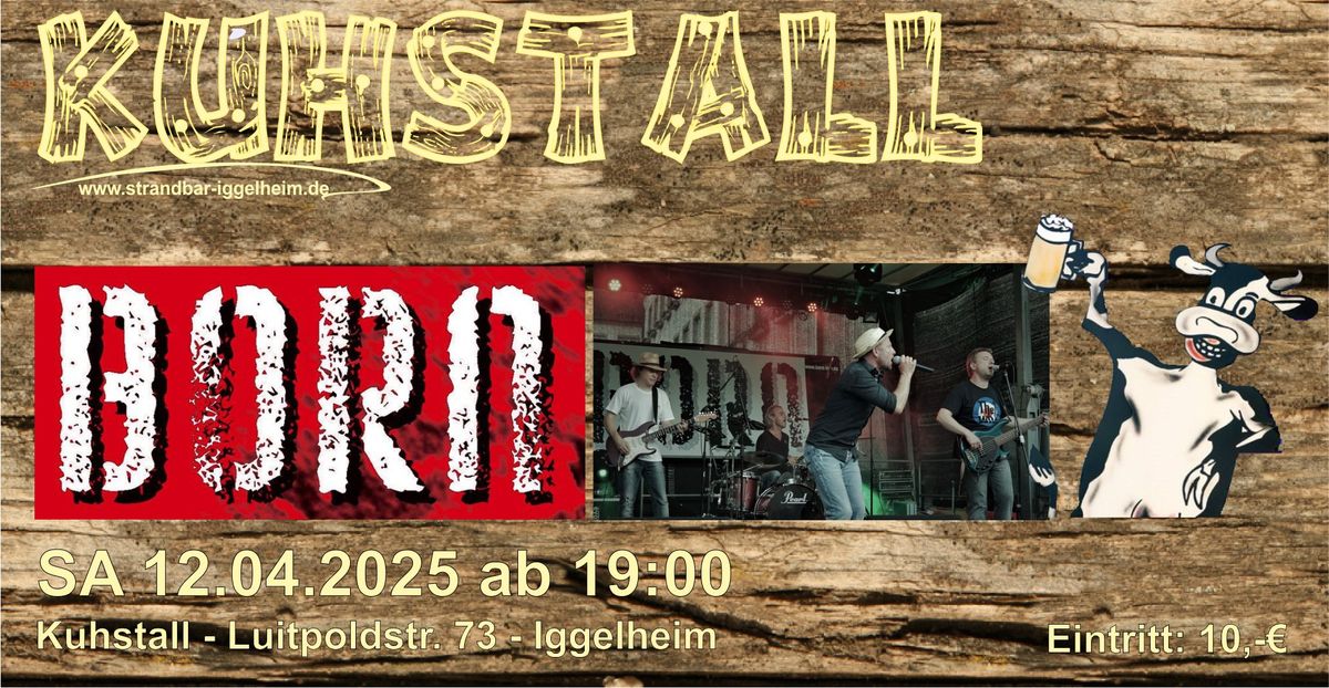 BORN live im Kuhstall