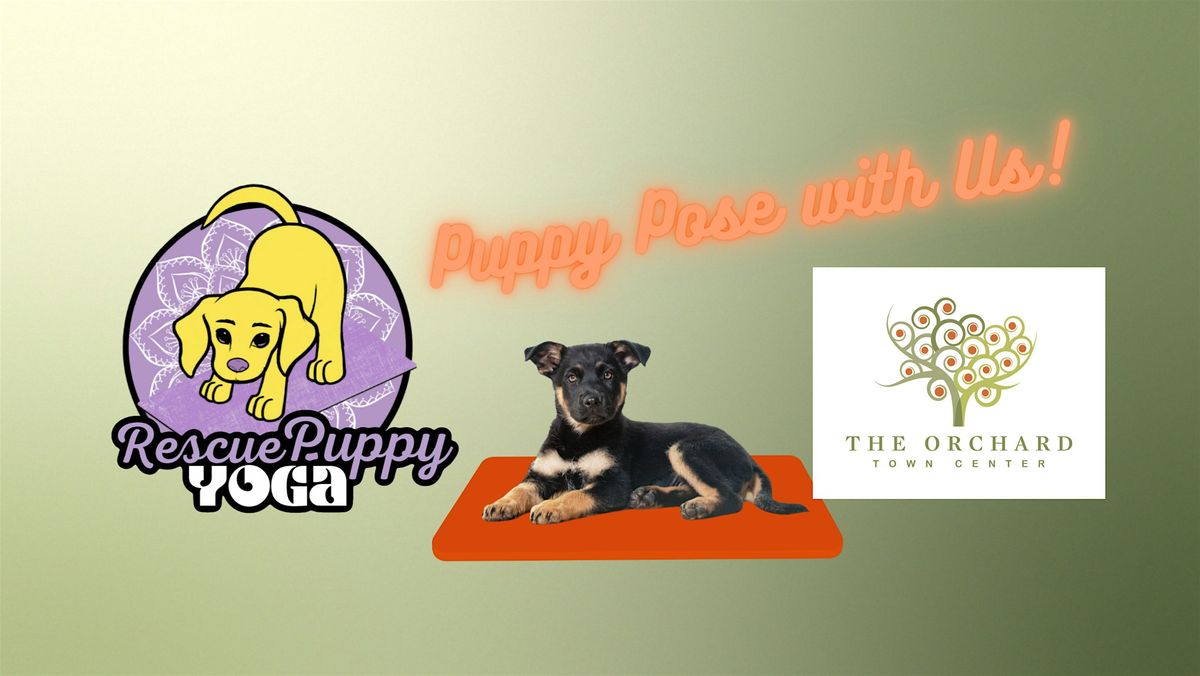 Rescue Puppy Yoga at The Orchard Town Center!