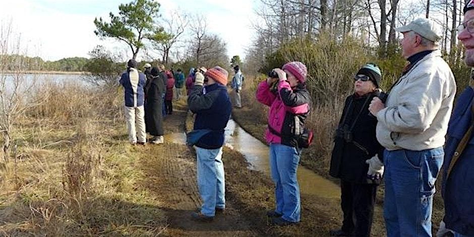 Winter Waterfowl Walks at Eastern Neck NWR 2024-25