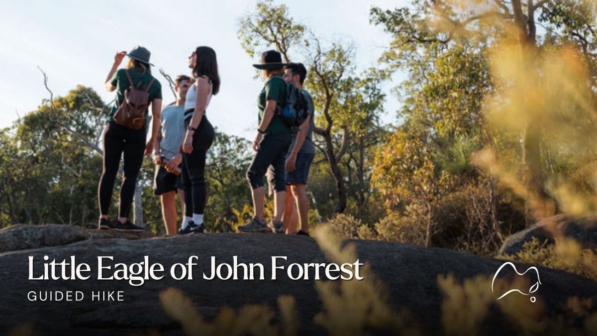 Explore The Little Eagle of John Forrest