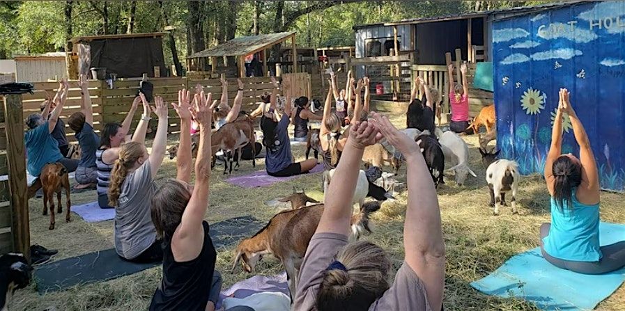 Goat Yoga and Hang with the Herd in Tallahassee