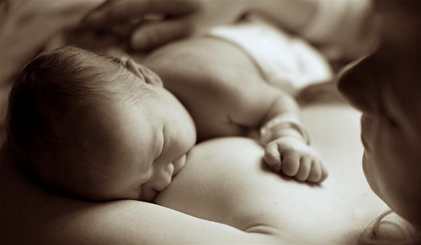In Person Prenatal Individual Workshop: Breastfeeding with Christina