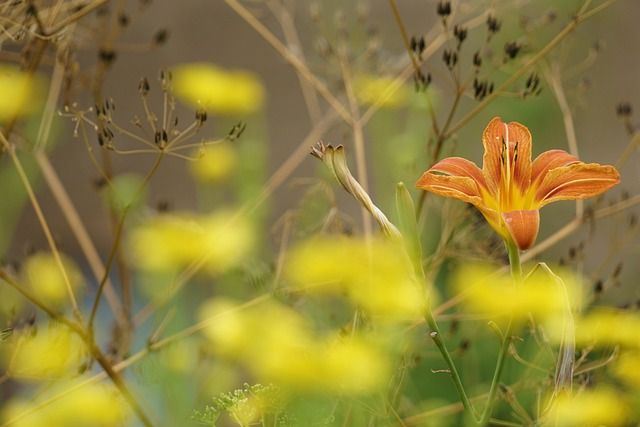 Sustainable Garden: Organic Pest Control Workshop