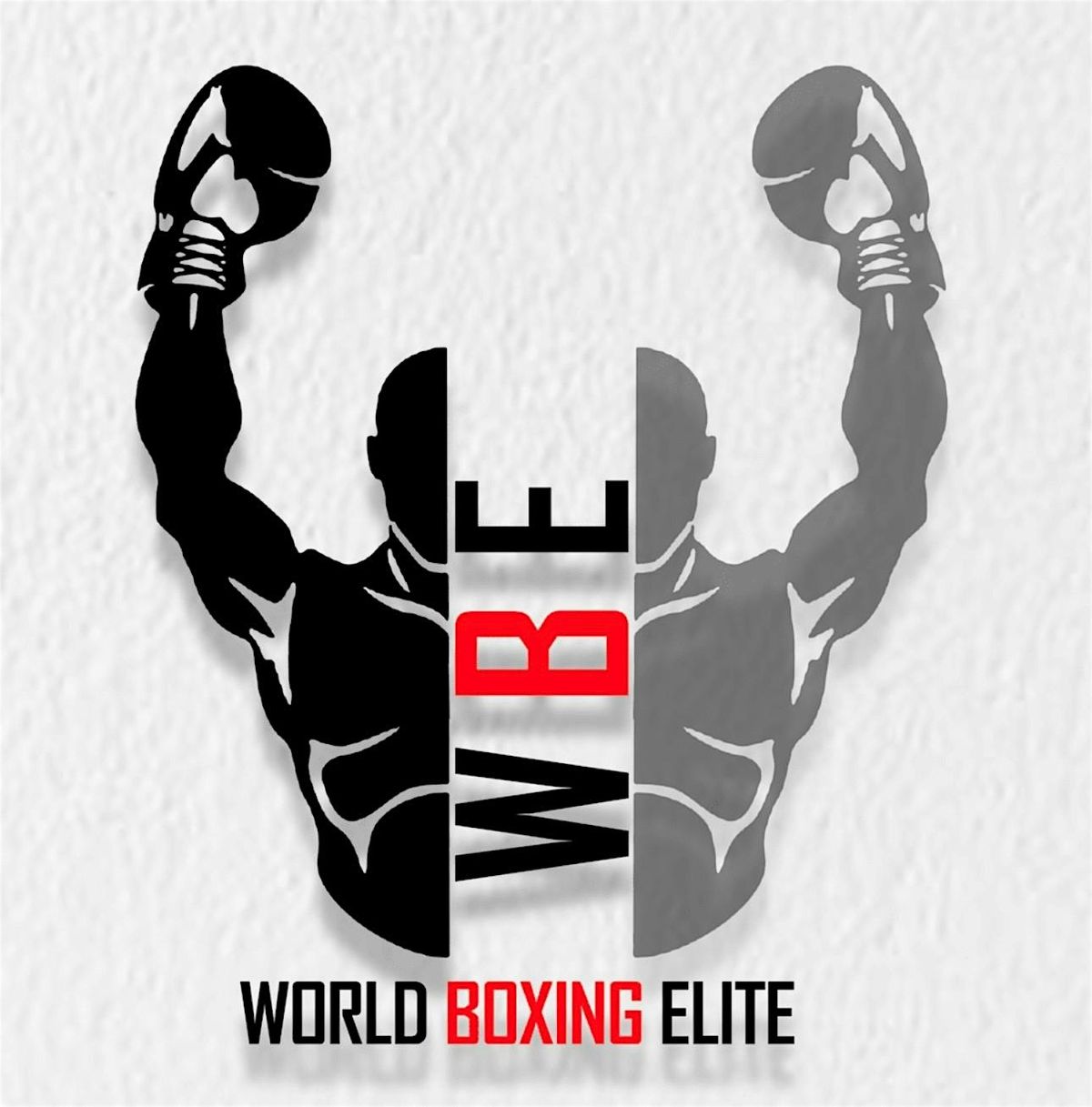 World Boxing Elite