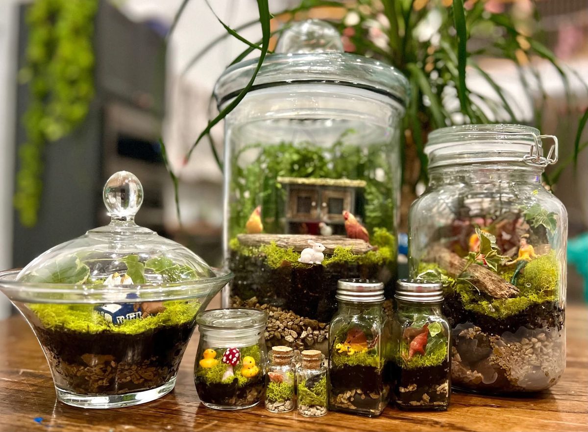 Terrarium Building Workshop 