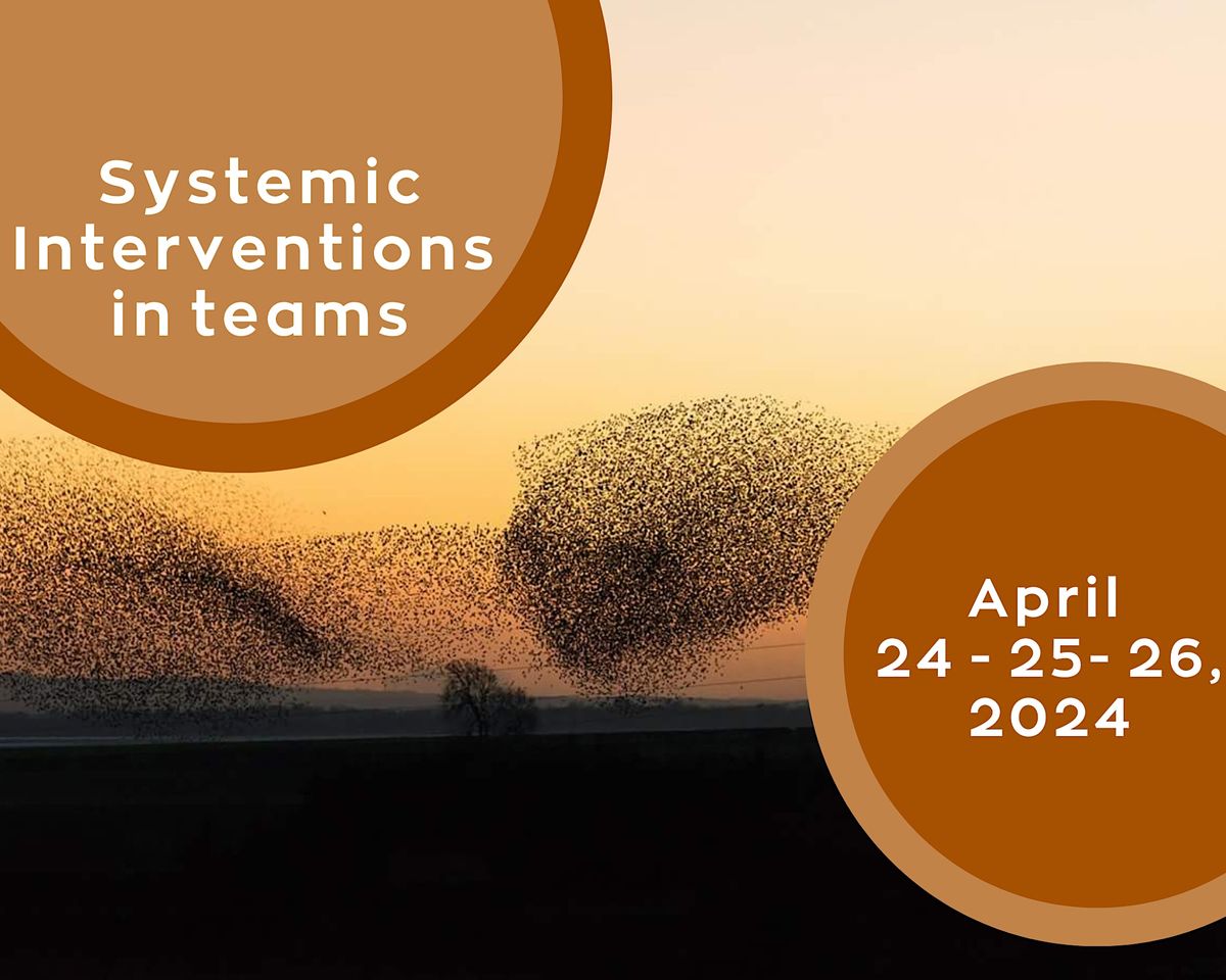 Systemic Interventions in Teams and Organizations - ENGLISH