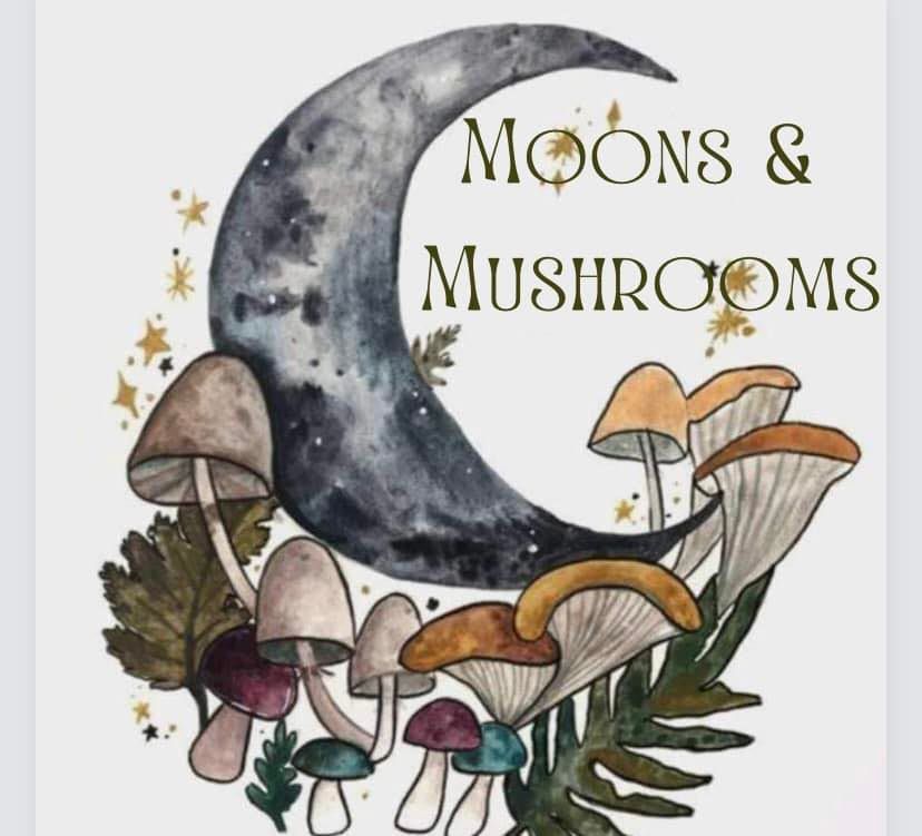 Fun Play Date at Moons & Mushrooms