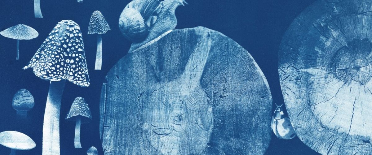 Autumn Cyanotype Workshop with Brooke Sauer