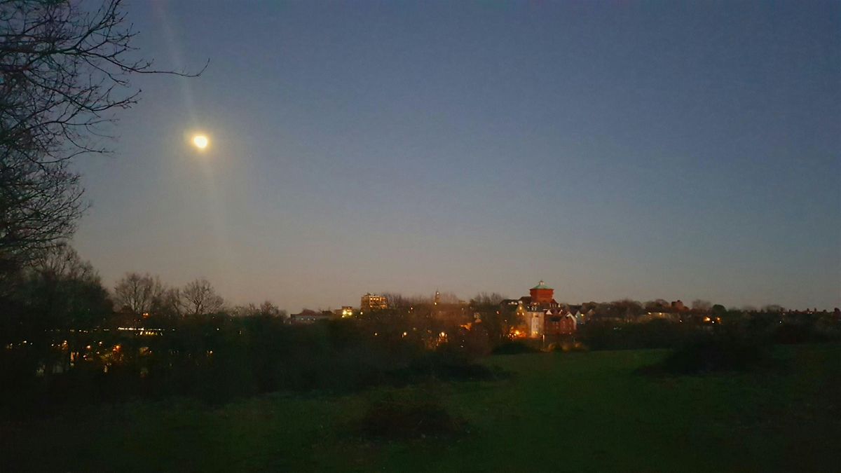 Full Moon Reflection Walk - Hilly Fields Nature Reserve