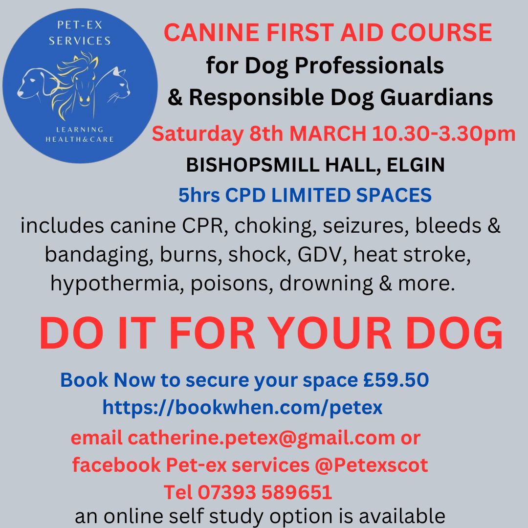 ELGIN 08.03.25 Canine First Aid Course