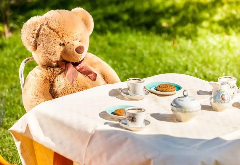 Farm Hands Camp | Teddy Bear Tea