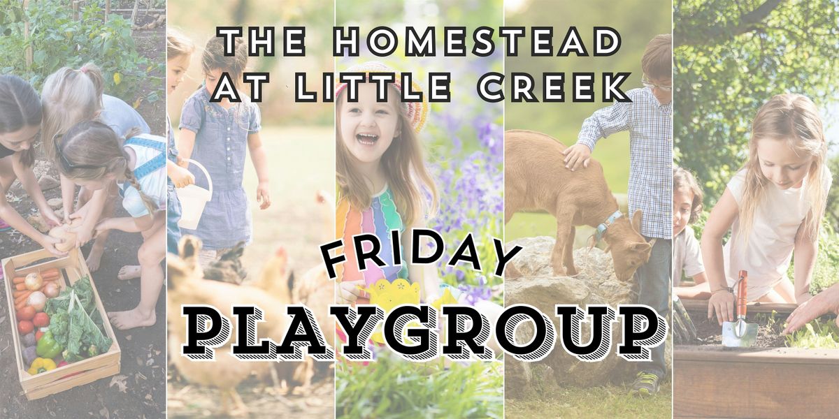 Homesteading Friday Playgroup