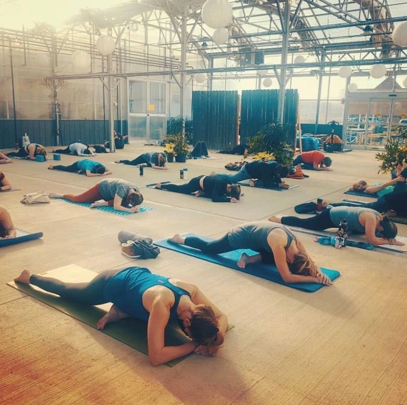 Greenhouse Yoga with Megan Reed