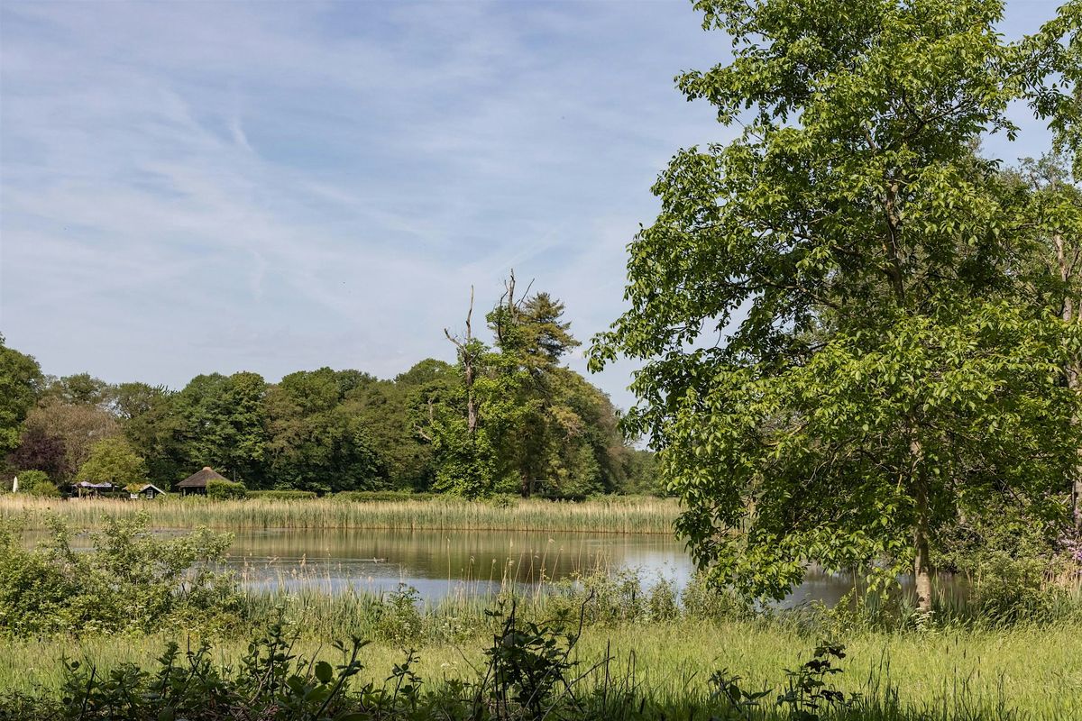 Het verborgen leven van bomen op landgoed  Smalenbroek