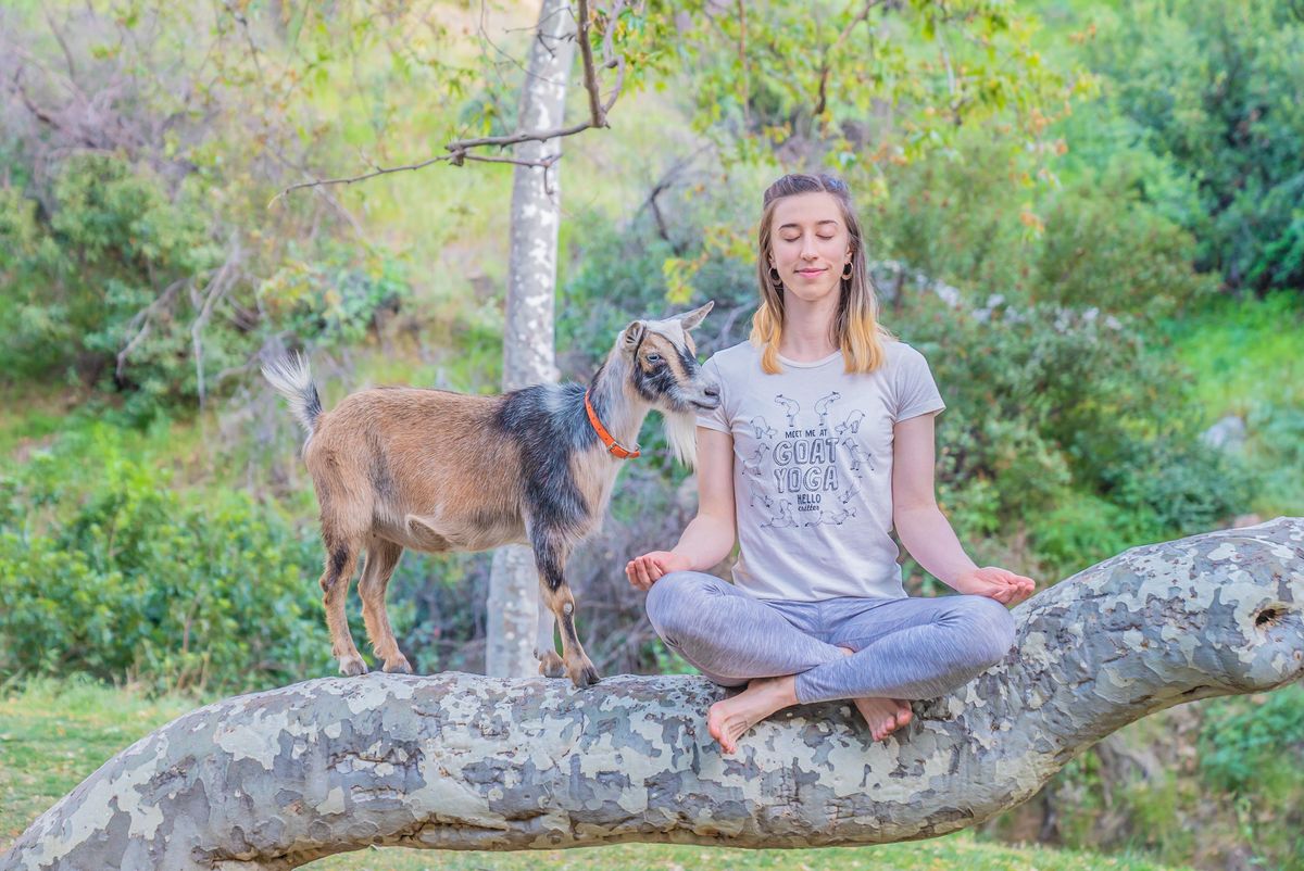 Goat Yoga Sound Bath in Nature