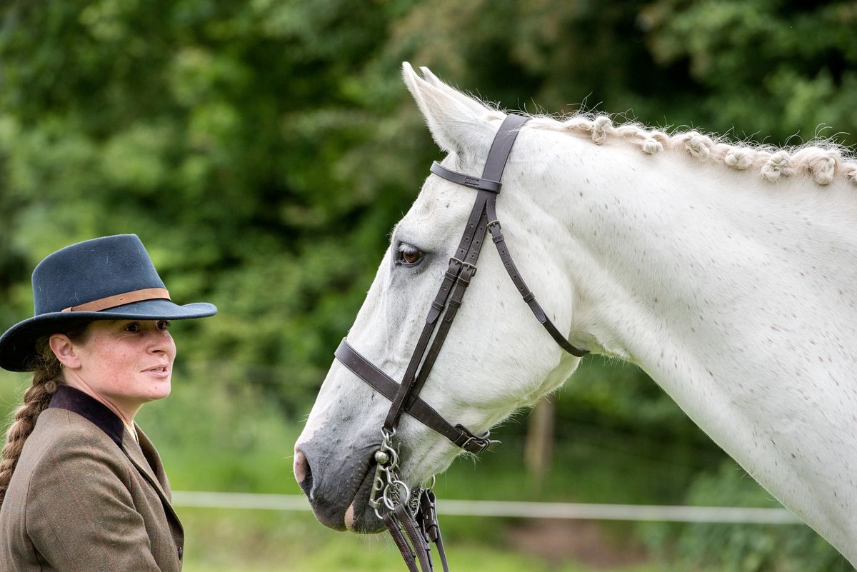 Heritage trust horse show 