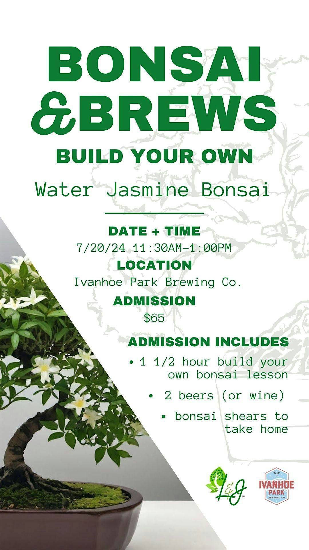 Bonsai & Brews - Adult Water Jasmine - IHPB 6\/20