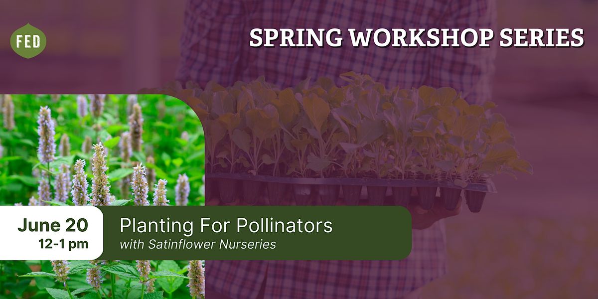 Planting For Pollinators